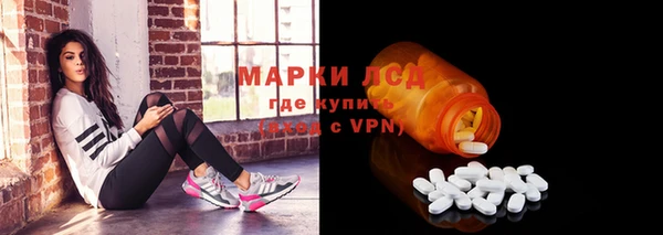 трава Осинники