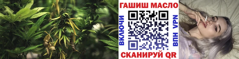 закладки  Североморск  ТГК вейп с тгк 
