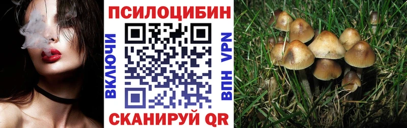 Псилоцибиновые грибы GOLDEN TEACHER  блэк спрут как зайти  darknet наркотические препараты  Североморск 