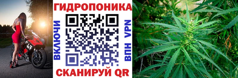 Шишки марихуана тримм  цены   Североморск 